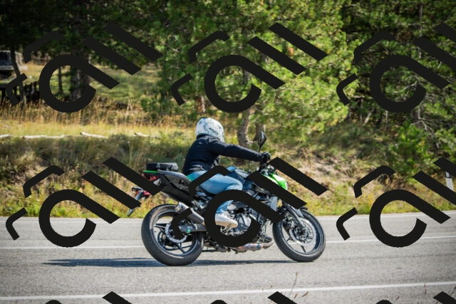 202510121158-DSC04050_c1_