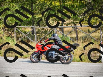 202510121235-DSC04449_c1_