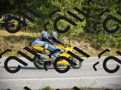 202510121236-DSC04489_c1_