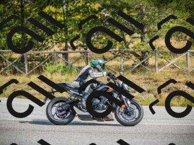 202510121239-DSC04512_c1_