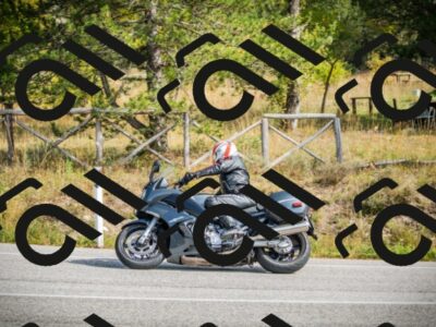 202510121245-DSC04558_c1_