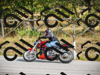 202510121246-DSC04573_c1_