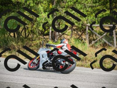 202510121247-DSC04601_c1_