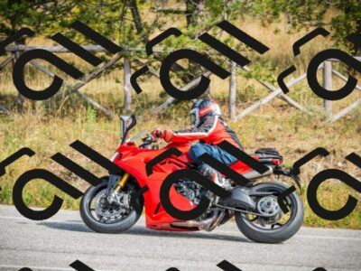 202510121249-DSC04631_c1_