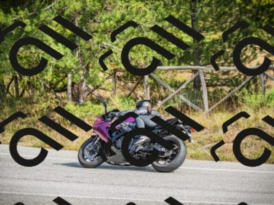 202510121249-DSC04639_c1_