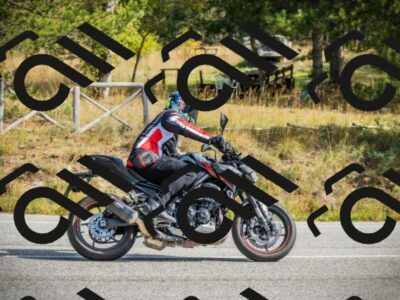 202510121250-DSC04669_c1_