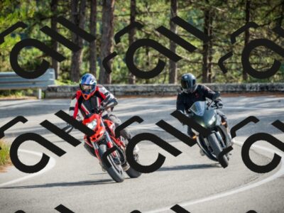 202510121253-DSC04681_c1_