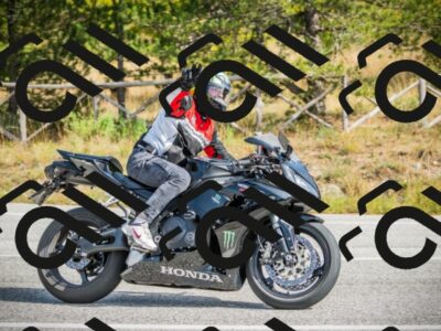 202510121254-DSC04705_c1_