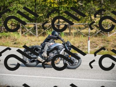 202510121255-DSC04717_c1_