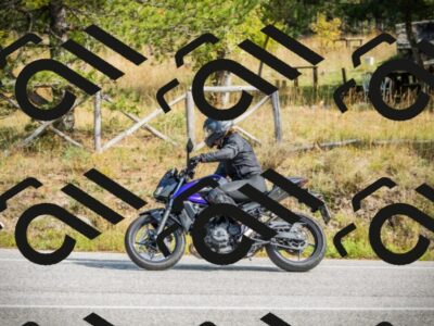 202510121256-DSC04741_c1_