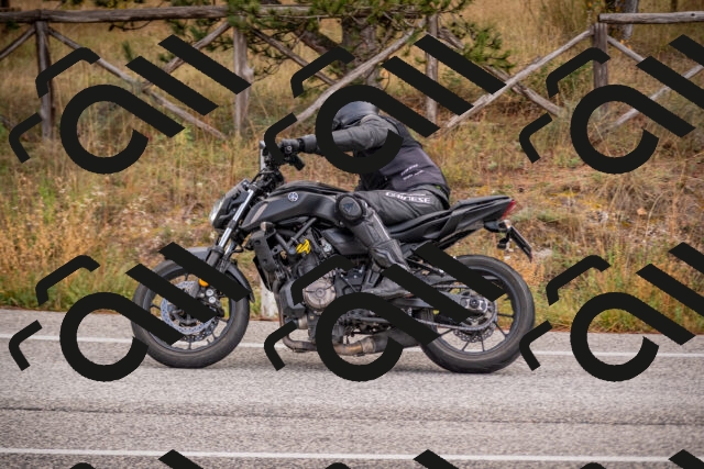 20251018124617-_5000081_am_