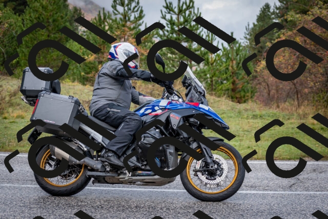 202510181134-DSC_8501_c2