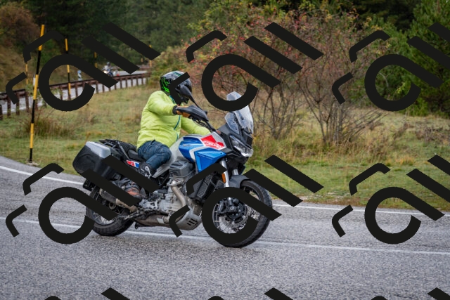 202510181134-DSC_8503_c2