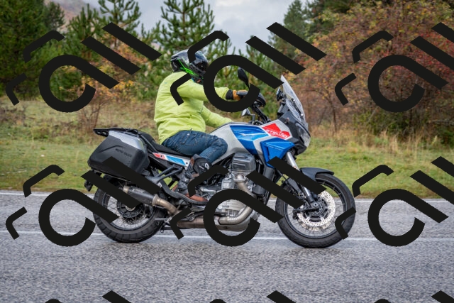 202510181134-DSC_8504_c2