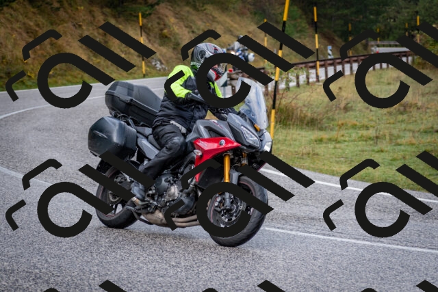 202510181134-DSC_8505_c2