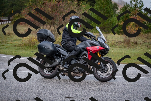 202510181134-DSC_8506_c2