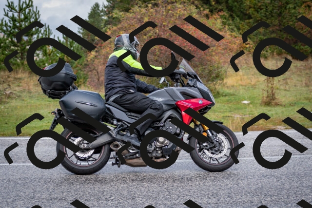 202510181134-DSC_8507_c2