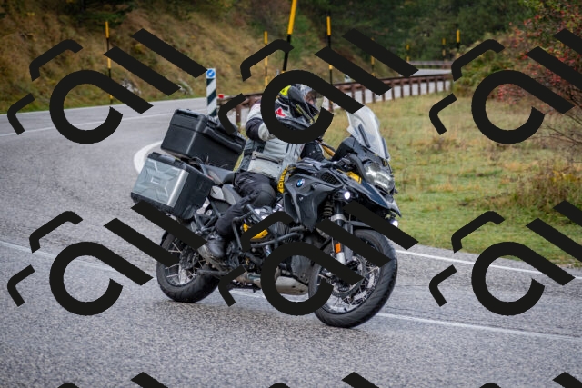 202510181134-DSC_8508_c2