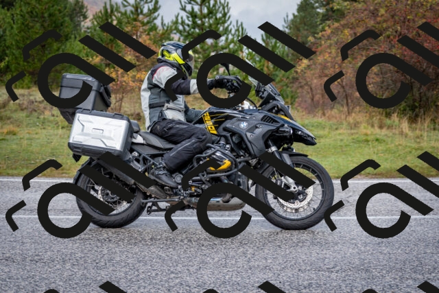 202510181134-DSC_8509_c2