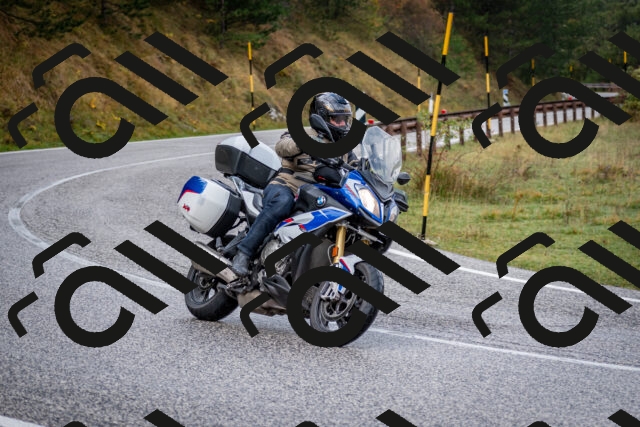 202510181134-DSC_8511_c2