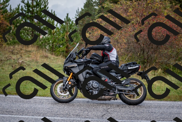 202510181135-DSC_8516_c2