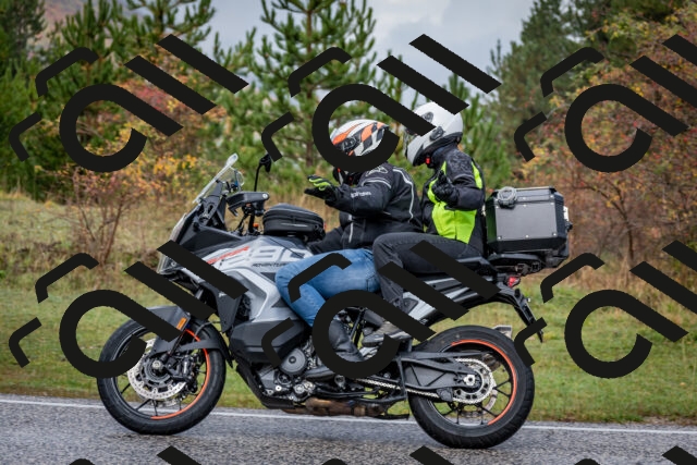 202510181136-DSC_8519_c2