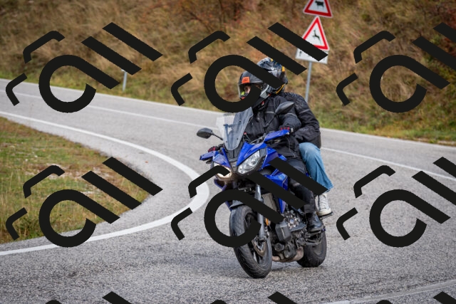 202510181136-DSC_8520_c2