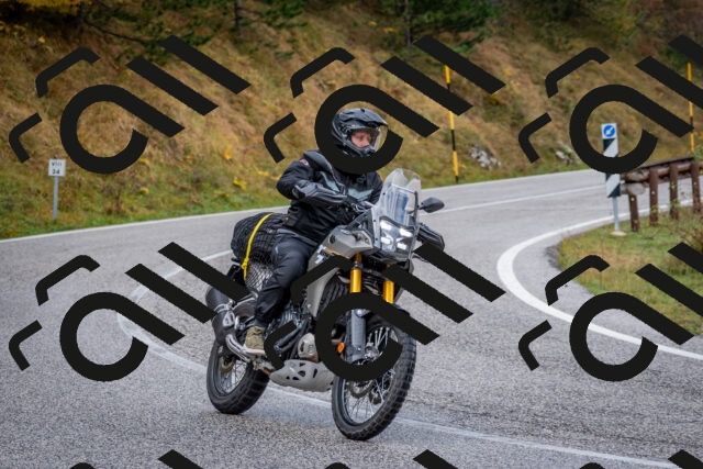 202510181143-DSC_8523_c2