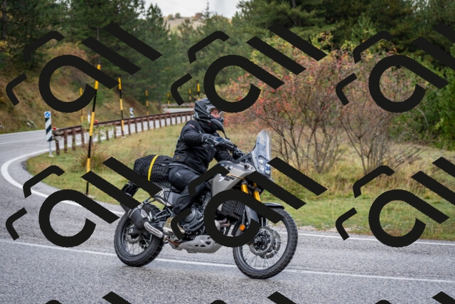 202510181143-DSC_8524_c2