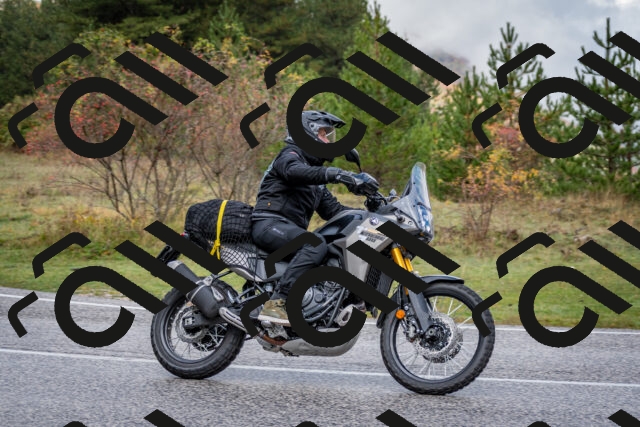 202510181143-DSC_8525_c2