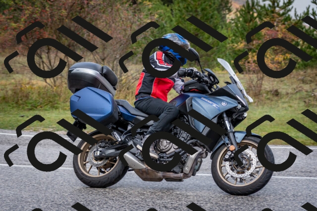 202510181143-DSC_8526_c2