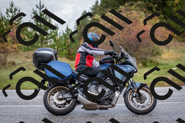 202510181143-DSC_8527_c2