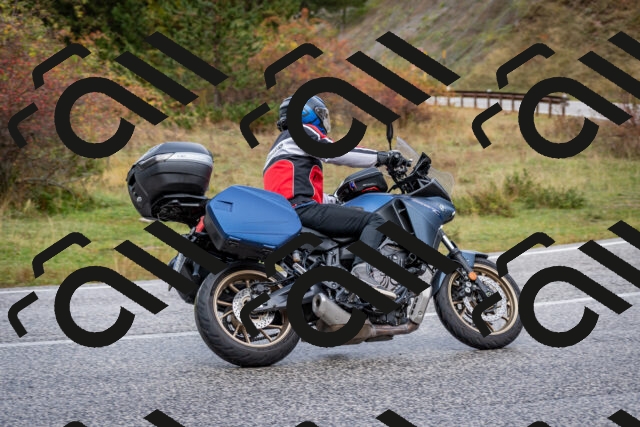 202510181143-DSC_8528_c2