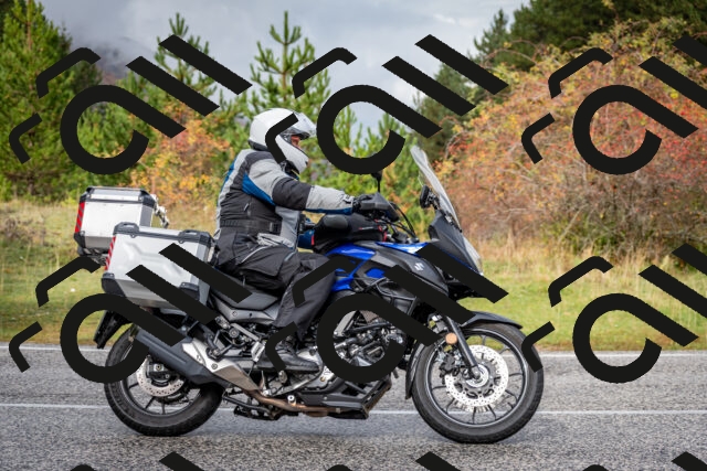 202510181158-DSC_8531_c2