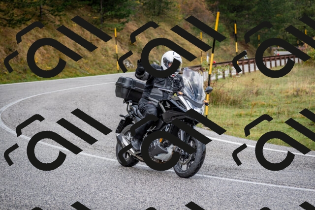 202510181158-DSC_8532_c2