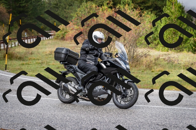 202510181158-DSC_8533_c2