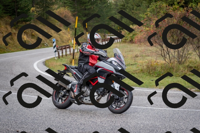 202510181159-DSC_8536_c2