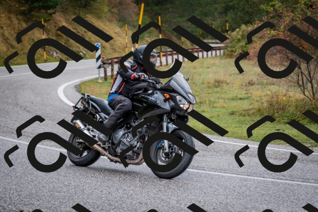 202510181212-DSC_8539_c2