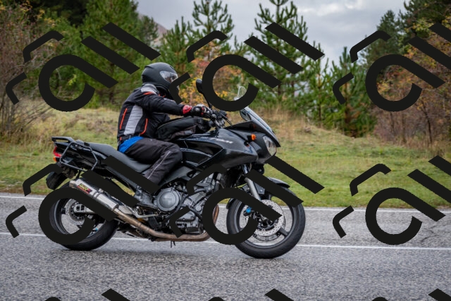 202510181212-DSC_8540_c2