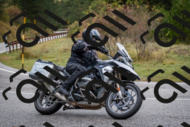 202510181214-DSC_8548_c2