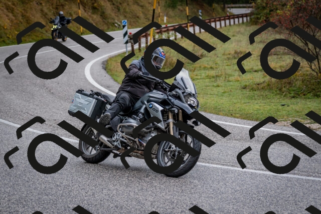 202510181223-DSC_8576_c2