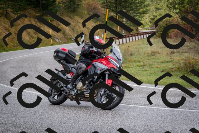 202510181232-DSC_8582_c2