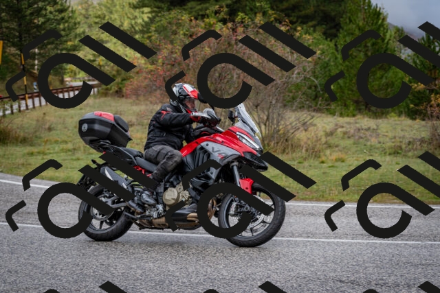 202510181232-DSC_8583_c2