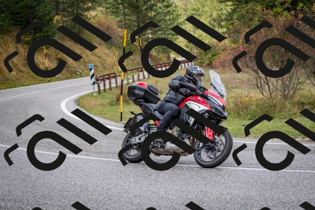 202510181232-DSC_8584_c2