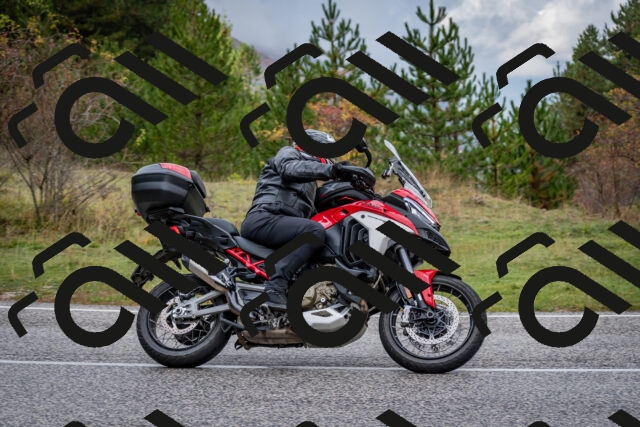 202510181232-DSC_8585_c2