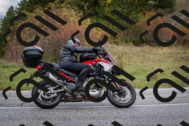 202510181232-DSC_8586_c2