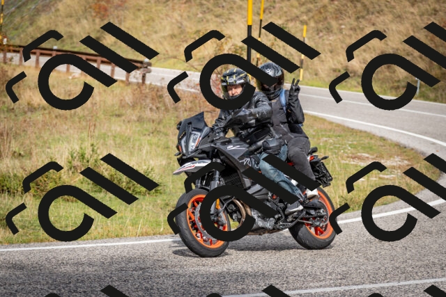 202510181236-DSC_8588_c2