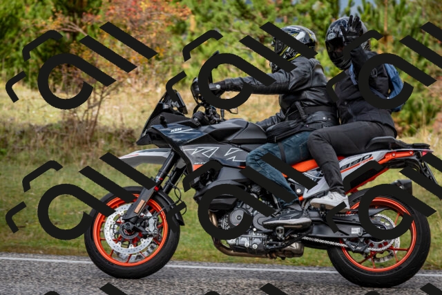 202510181236-DSC_8589_c2