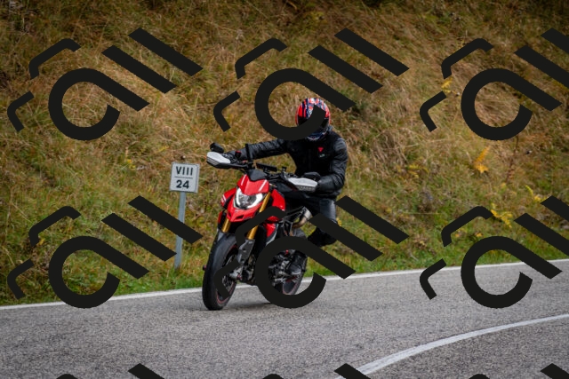 202510181249-DSC_8590_c2