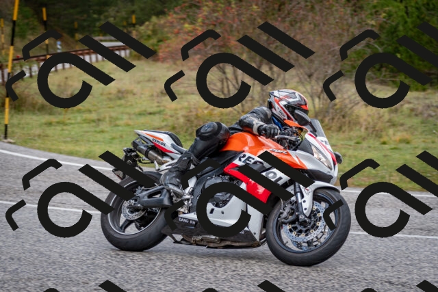 202510181249-DSC_8596_c2